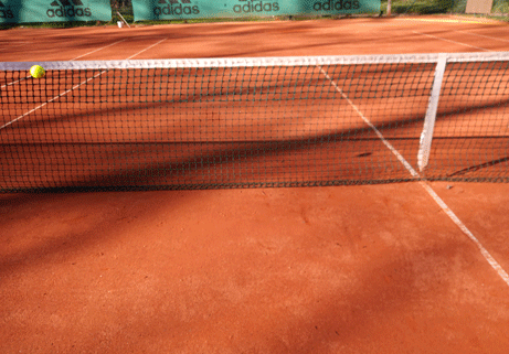 der-ball-springt-wieder