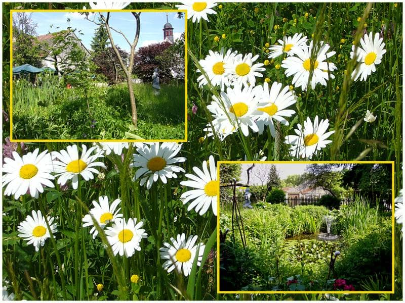 Gartenwirtschaft Gartenwirtschaft