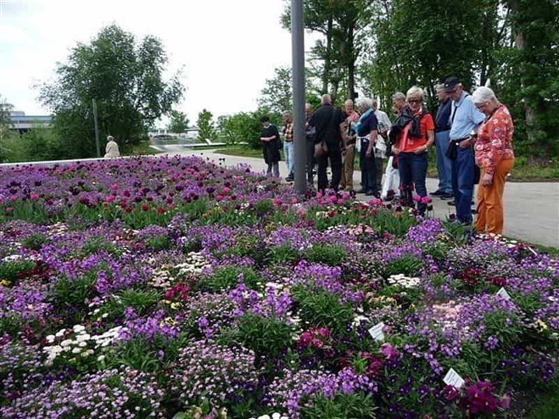 Gartenschau 02 Gartenschau 02